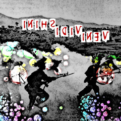 Veni Vidi Shini