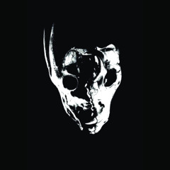 Soma & Signatus - Split Sample 2