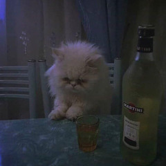 снова про девчонку(((