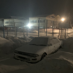 sad spring