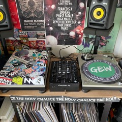 All vinyl jungle set