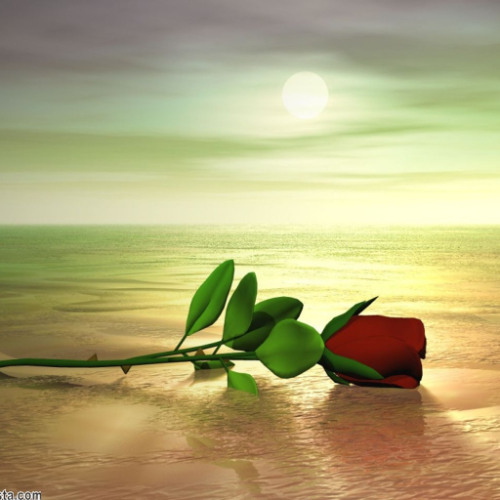 When you walked into my life 2