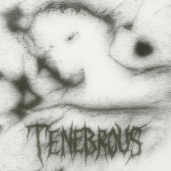 RrufusS - TENEBROUS (MEGA SLOWED)