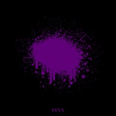 PINN - 숨바꼭질 (purple coin remix)