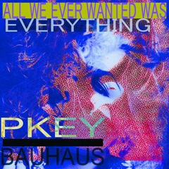 All We Ever Wanted Was Everything M 1 25 24