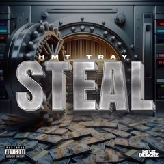 HMT Tray - Steal