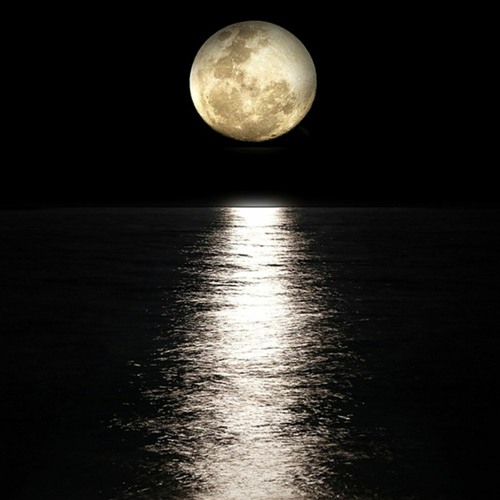 "Moon / Water" - Marching Band Show