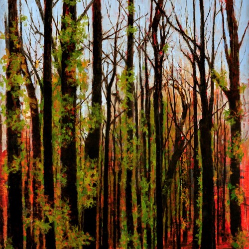 Stream Jude Rae ‘The miracle of the trees’ by Art Gallery of NSW ...