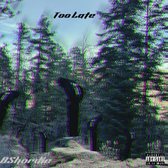 Too Late (prod.miroow)