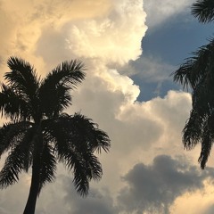 dream a little dream