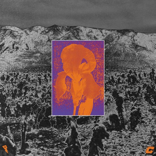 Tails & Kelland - Stranded