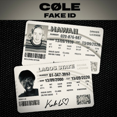 Riton & Kah-Lo - Fake ID (CØLE Edit)