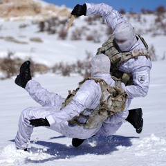 إني جندي الرضوان - ثائر ميديا