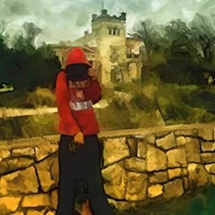 jssr - himself speed up