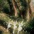 Artwork for fairy of shampoo - txt (sped up)