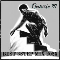 Thamzin 747 Mix- (August 2025)