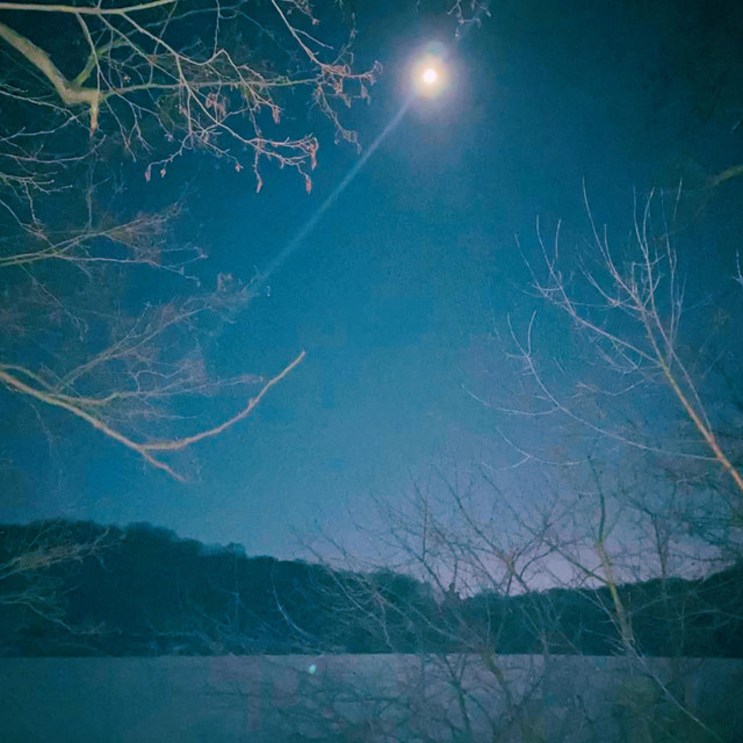 Пісня різдвяна сніжинка