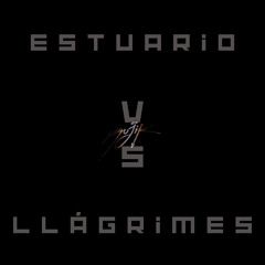 Estuario vs Llamigres P1