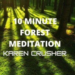 Forest Focus | 10 Minute Forest Meditation | Calming Music | Ambient Bird Soundscape