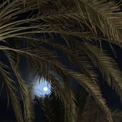 القدر جابك بندر بن عوير