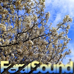 Feral Sound with Sister Gaia - 24 Mar 2023
