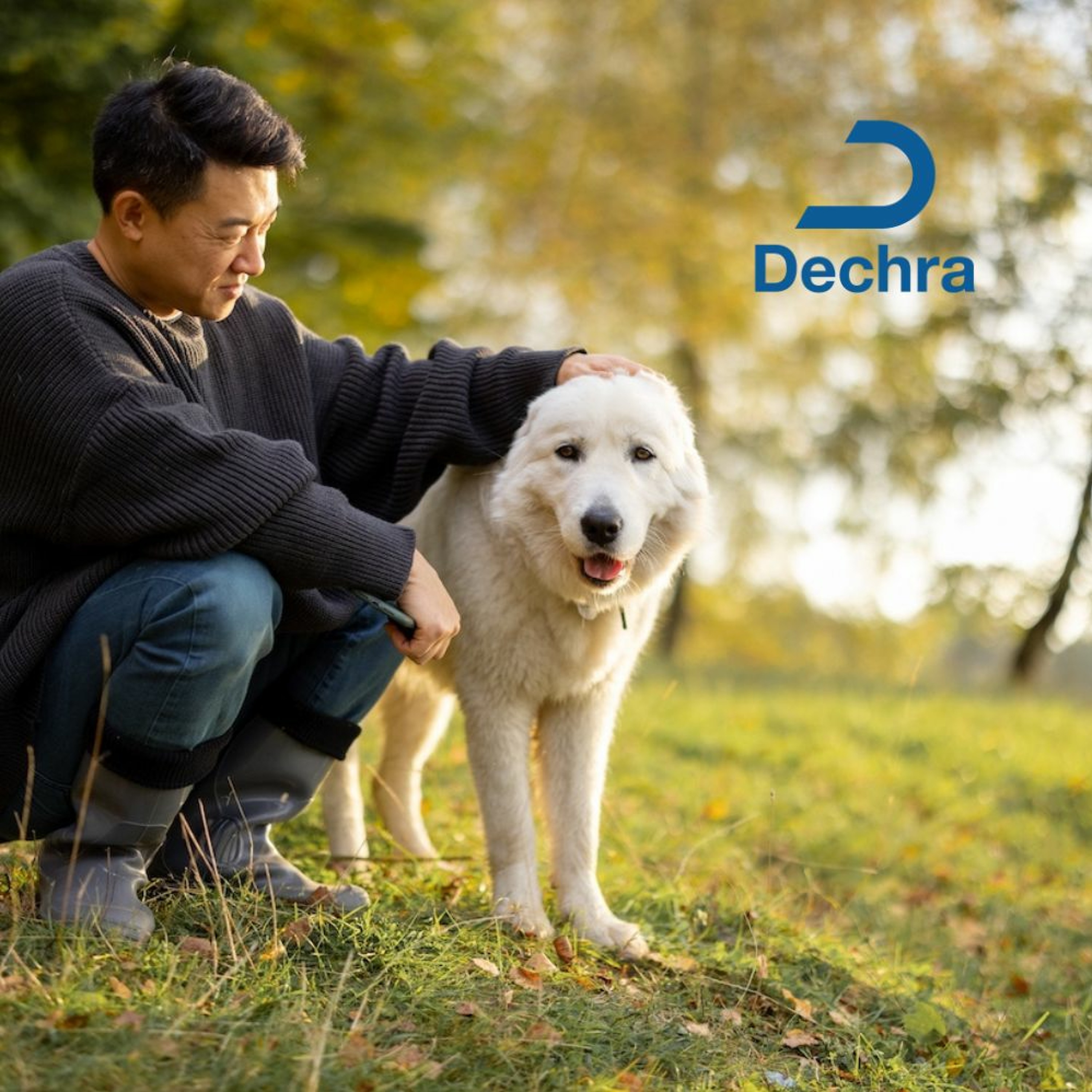 A Novel Approach to Treating Canine Lymphoma for the General Practitioner episode artwork
