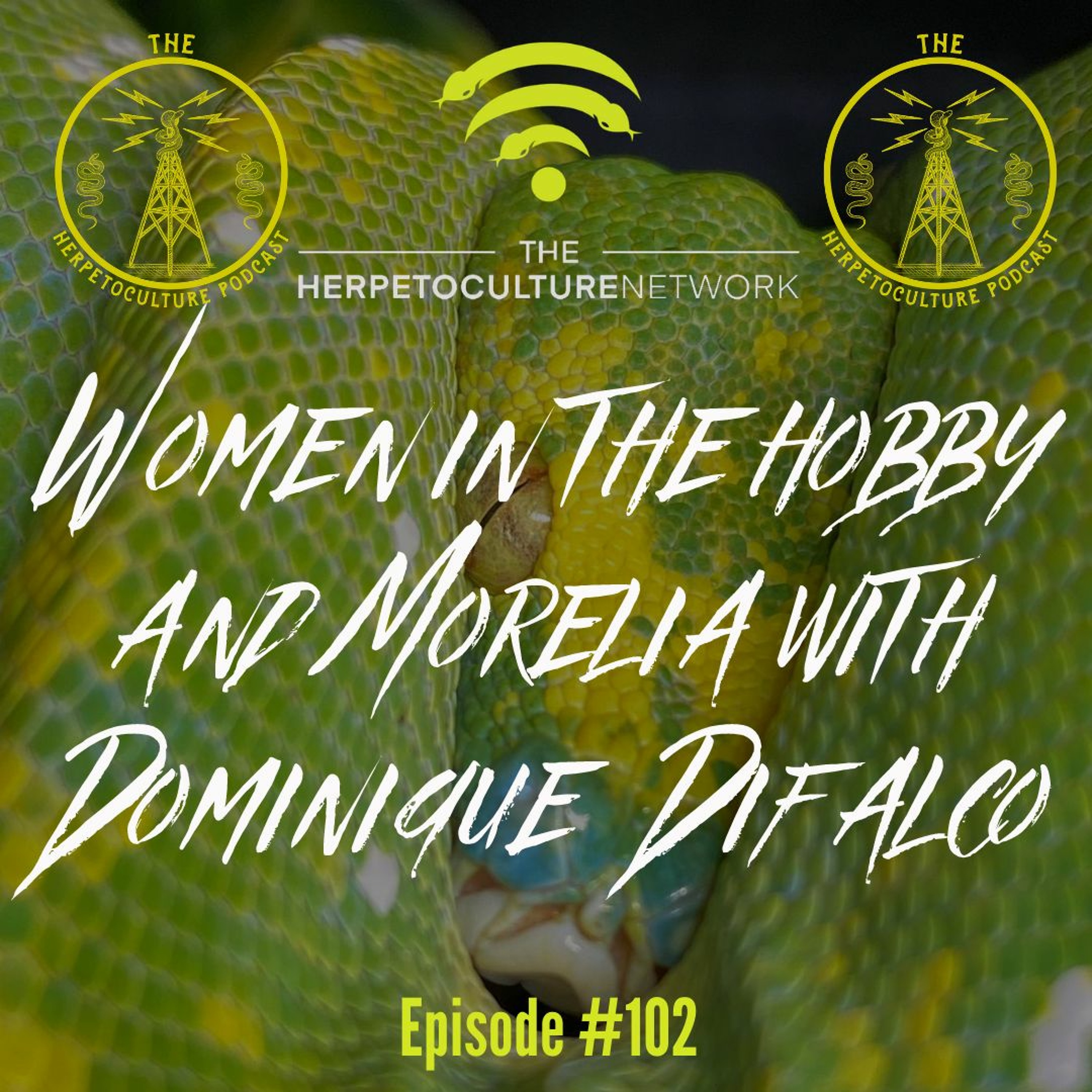 Women in the hobby & Morelia with Dominique DiFalco