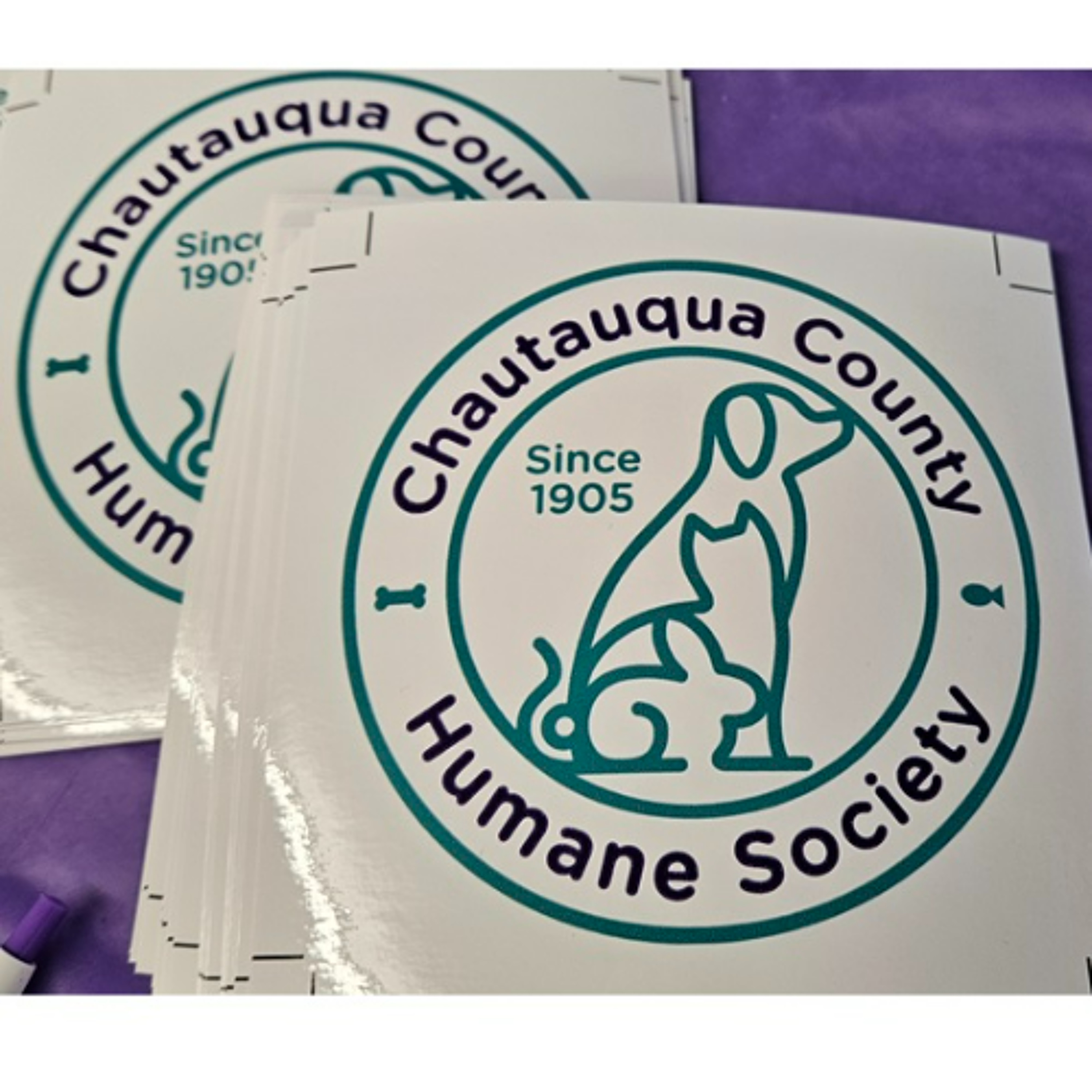 Community Matters - Chautauqua County Humane Society - January 9, 2025 episode artwork