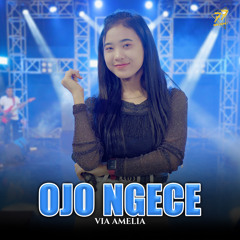 Ojo Ngece