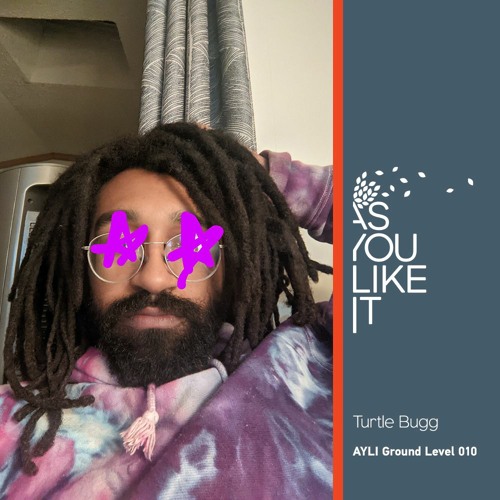 AYLI Ground Level 010: Turtle Bugg