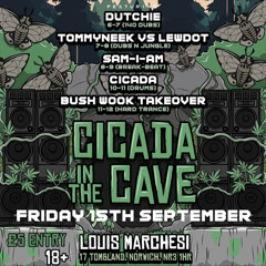 CICADA IN THE CAVE PROMO MIX (Drum and Bass)