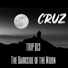 TRIP 013 The Darkside of the Moon (Techno Mix)