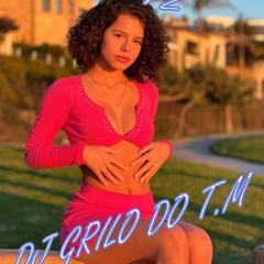 MTG QUANDO O SOL CHEGAR Feat DJ GRILO Do T.M O BLITZ