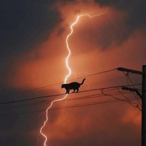 mm44 turbo shitpost machine - дисс на алëну швец