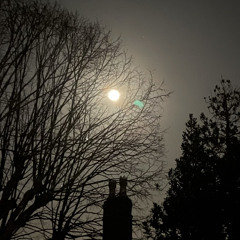 You’re lecturing me on life?