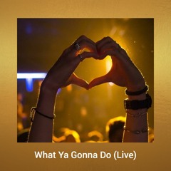 What Ya Gonna Do (Live)