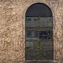 (maybe) it will be fine