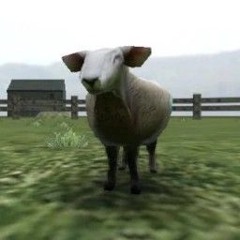 Crazy Cattle 3d Song
