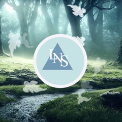 Naturalis Introspectio (Outre-Acid)