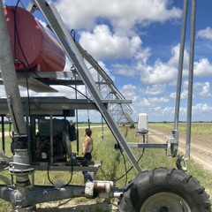 Sanderson Sisters Witch Spell