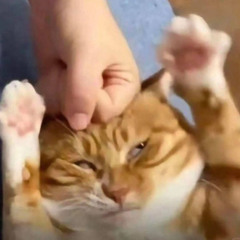 Quyền Yếu Đuối - Ca Sĩ Giấu Mặt (Giọng Nam) _ The Masked Singer