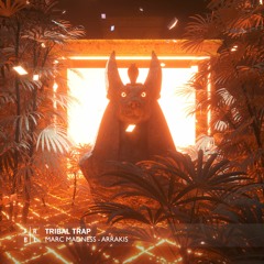 Marc Madness - Arrakis
