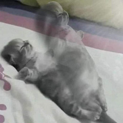 Gõ Liên Hồi - Nhạc Gõ Êm