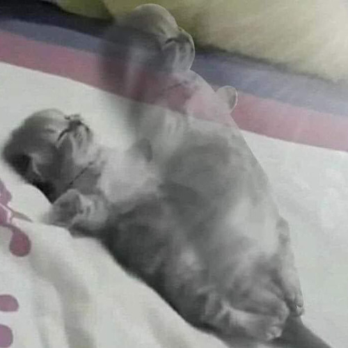 Gõ Liên Hồi - Nhạc Gõ Êm