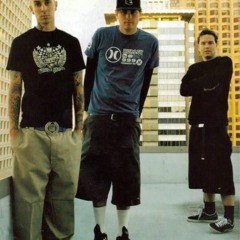 Blink 182 - Rock show (live in japan)