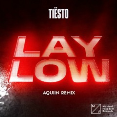 Tiësto - Lay Low (AQUIIN Remix)