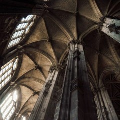 NLS - 2022 - 11 - 08