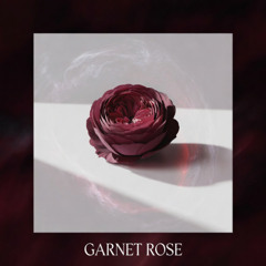 Garnet Rose
