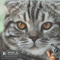 Wet [Prod. TRUNKSTYLEZ]