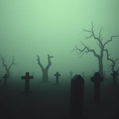 Echoes from the Void